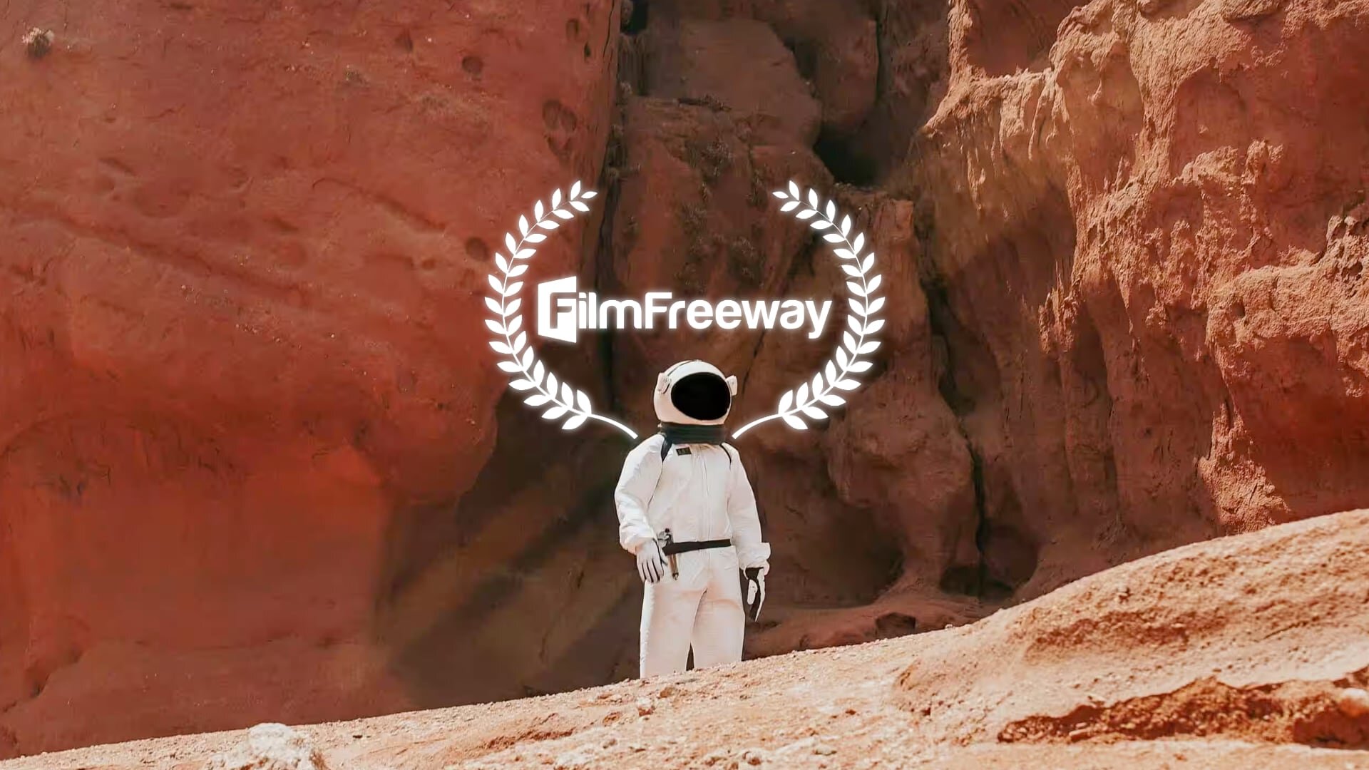 FilmFreeway critique