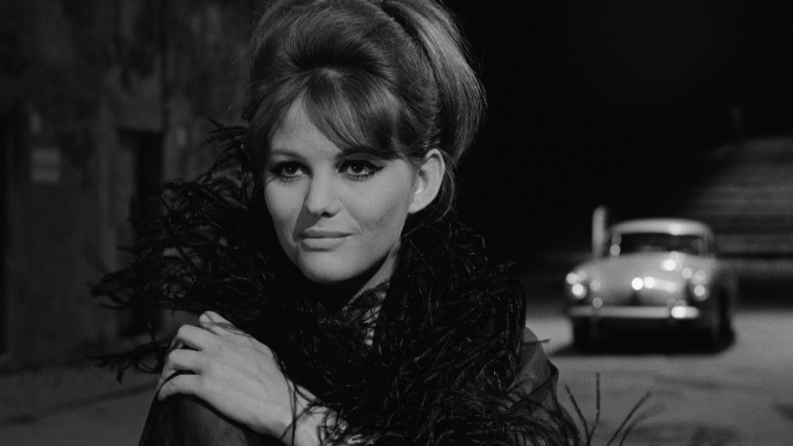 Claudia Cardinale in a classic profile portrait.